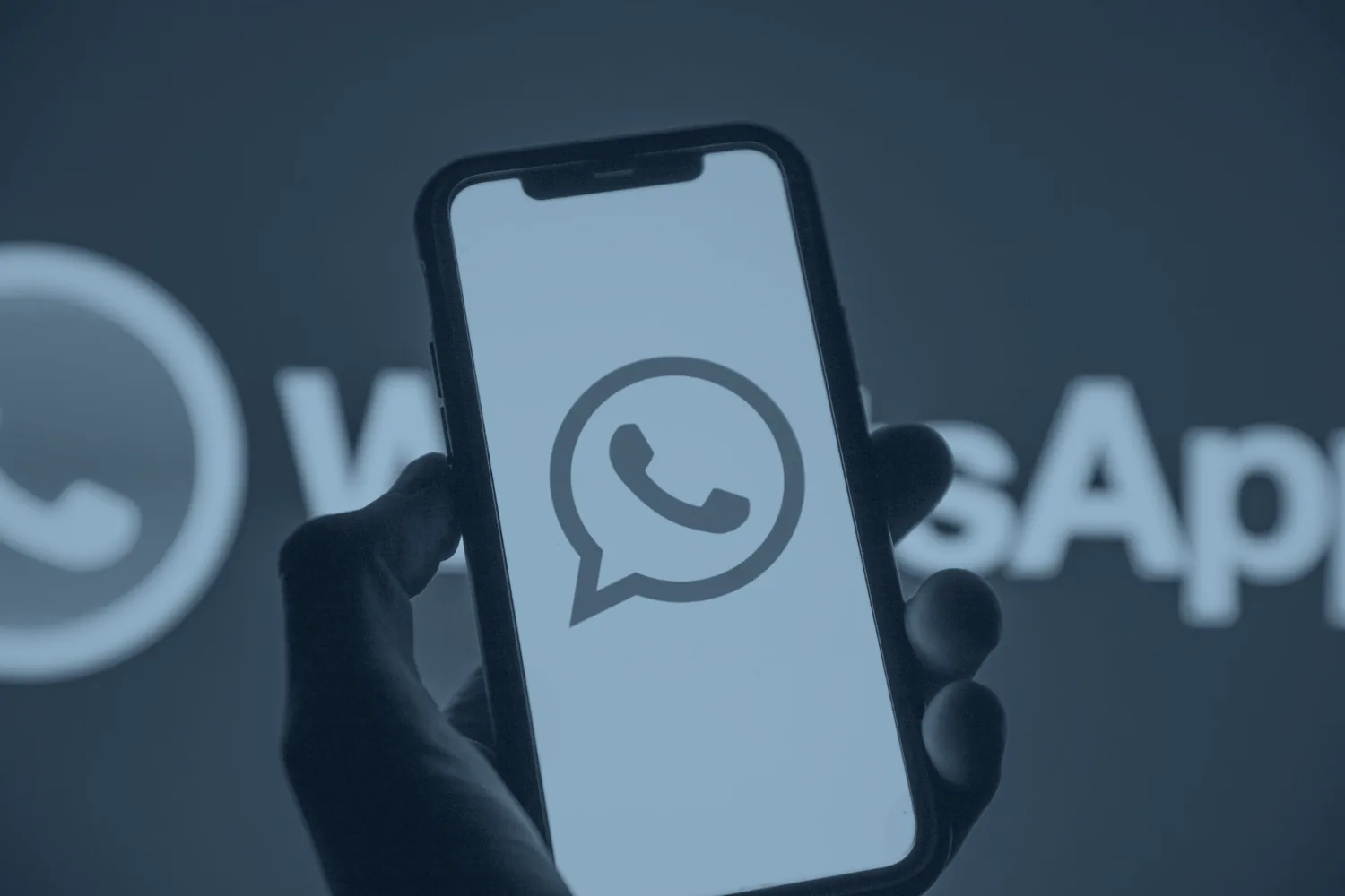 whatsapp business app setup